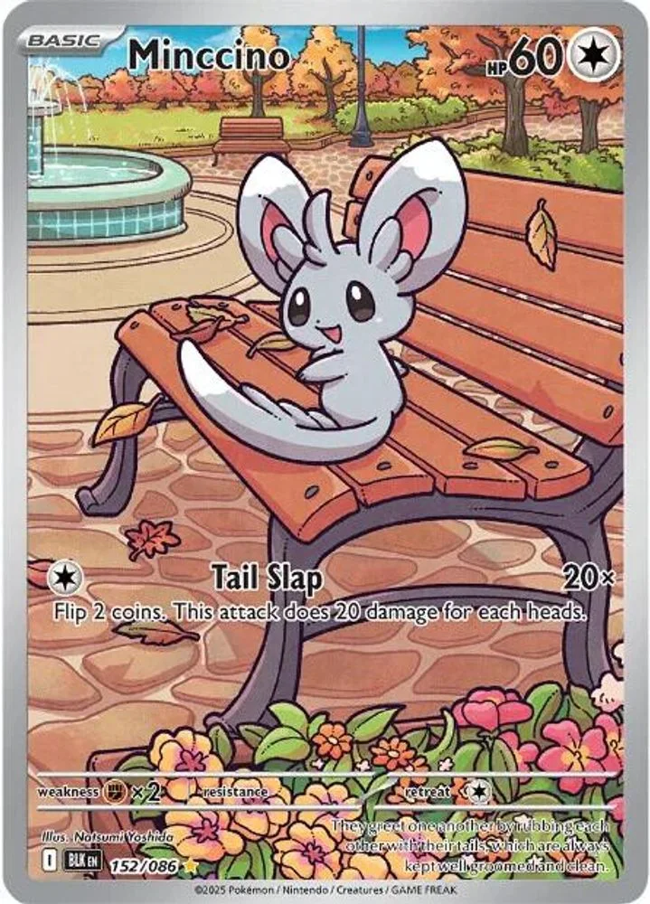 Minccino 152/086 — front