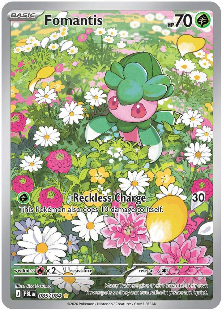 Fomantis 085/084 — front