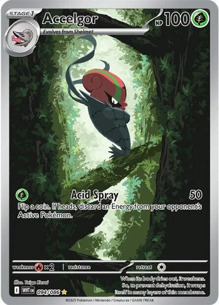 Accelgor 094/086 — front