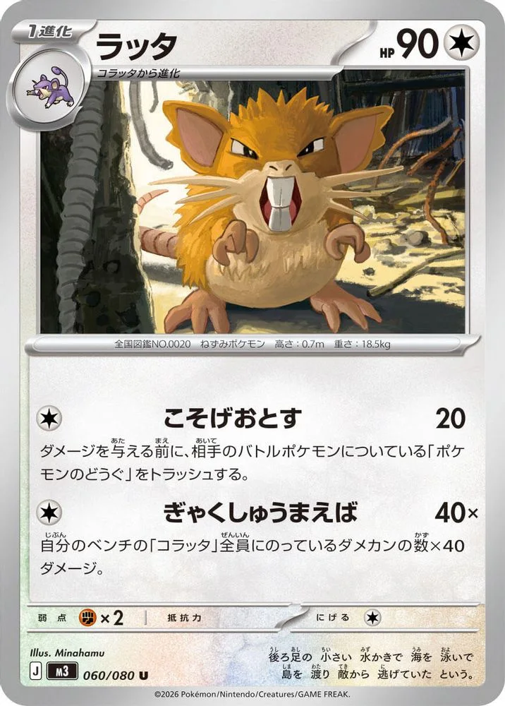 Raticate 060/080 — front
