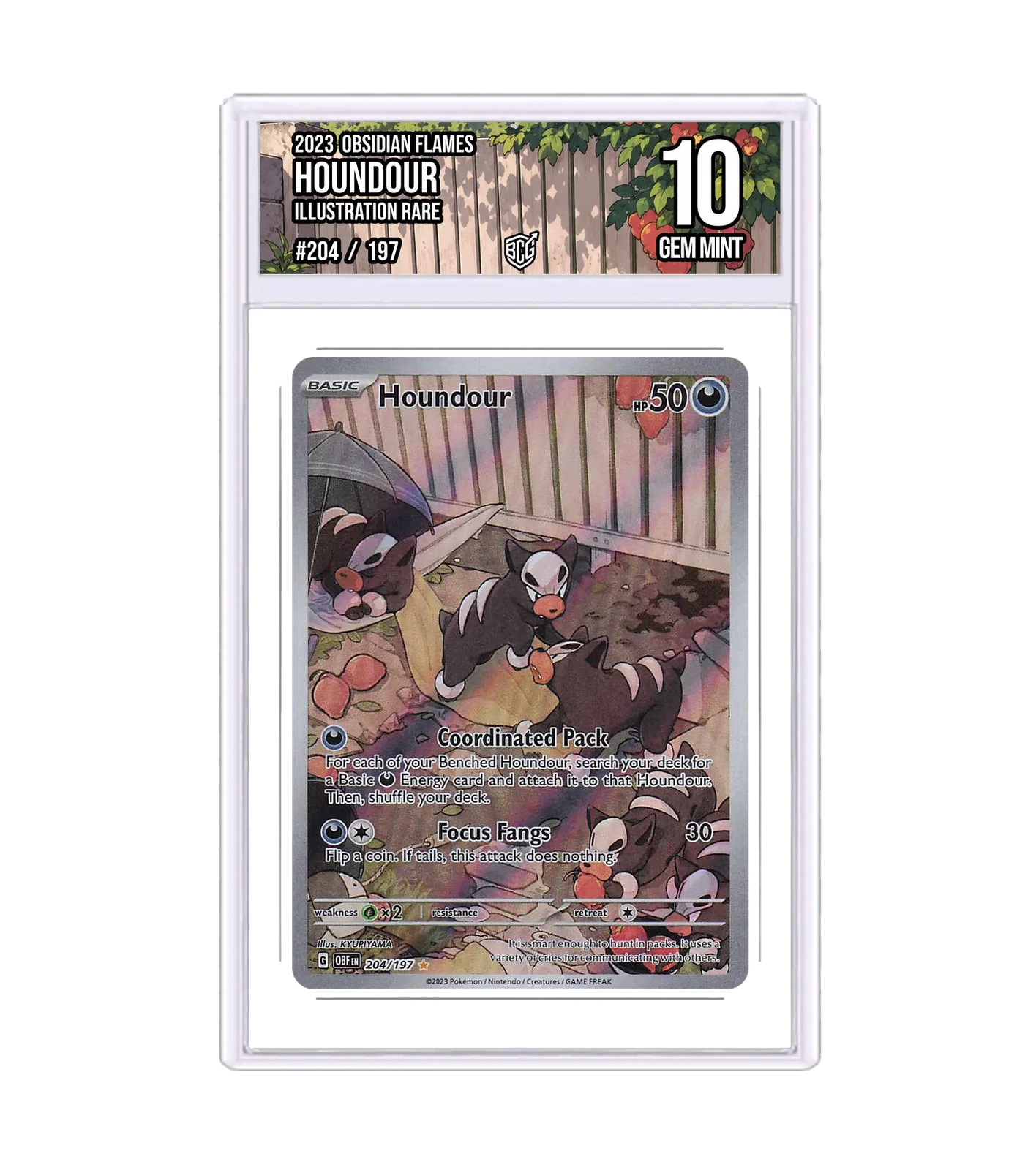Houndour 204/197 · BCG 10 Gem Mint — front