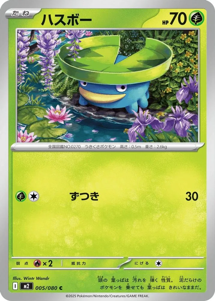 Lotad 005/080 — front
