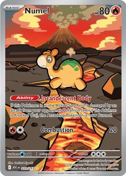 Numel 223/217
