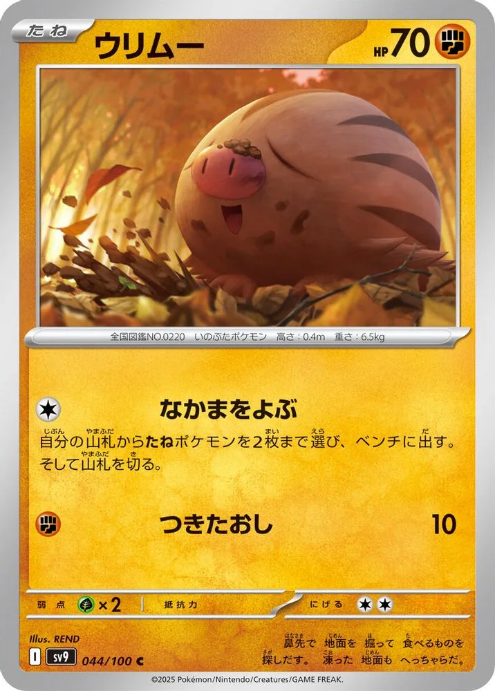 Swinub 044/100 — front