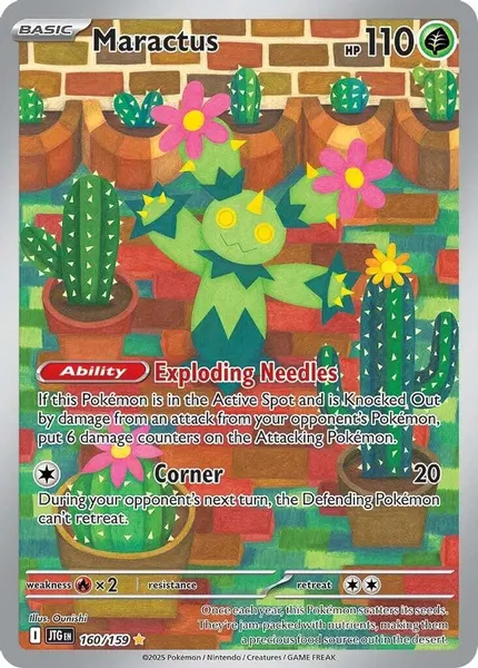 Maractus 160/159